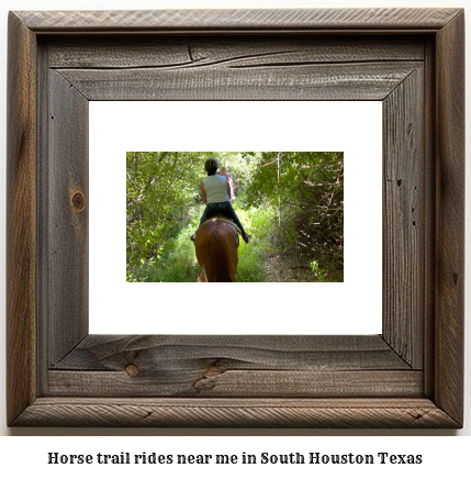 horse trail rides near me in South Houston, Texas